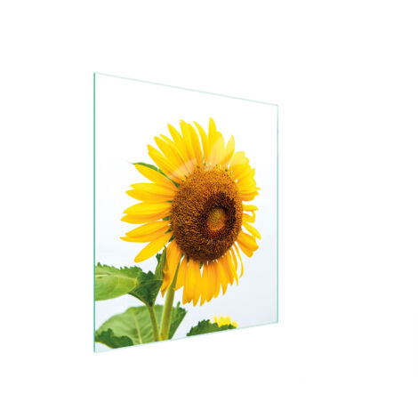 Glasschneidebrett 45x52 Blume