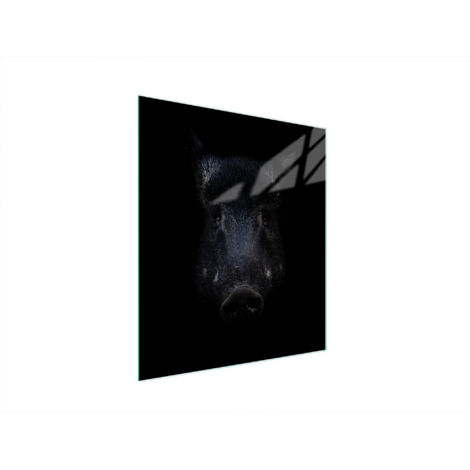 Glasschneidebrett 45x52 Boar