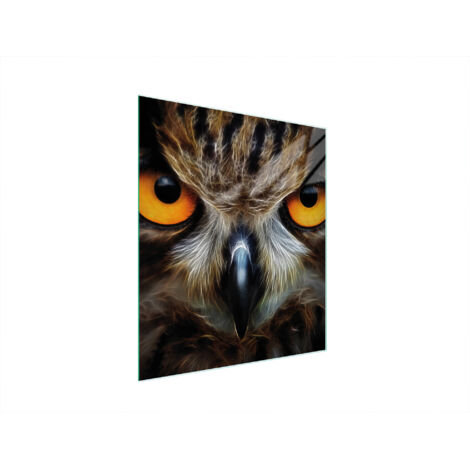 Glasschneidebrett 45x52 EULE