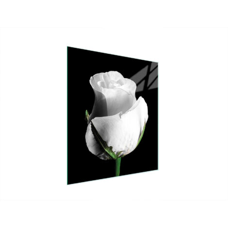 Glasschneidebrett 45x52 Rose