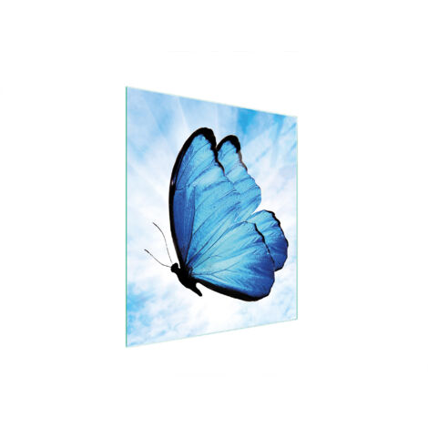 Glasschneidebrett 45x52 Schmetterling