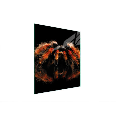 Glasschneidebrett 45x52 Spider