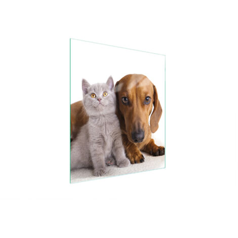 Glasschneidebrett 45x52 Tiere