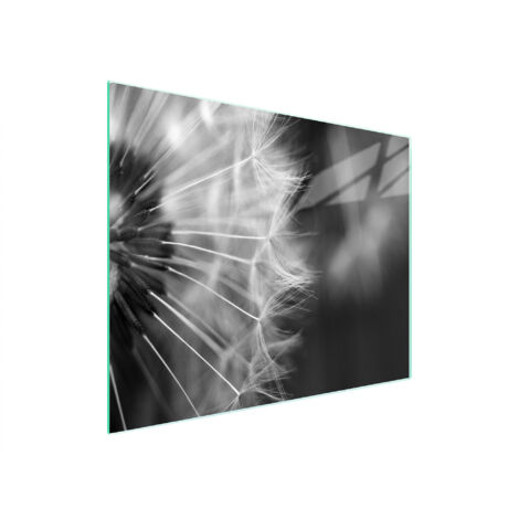 Glasschneidebrett 52x30 Blume