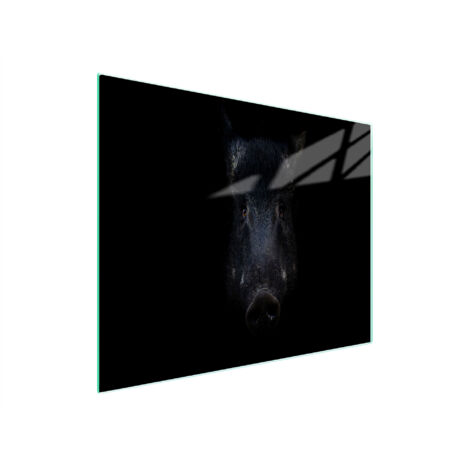 Glasschneidebrett 52x30 Boar