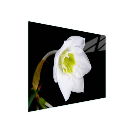 Glasschneidebrett 52x30 Orchidee