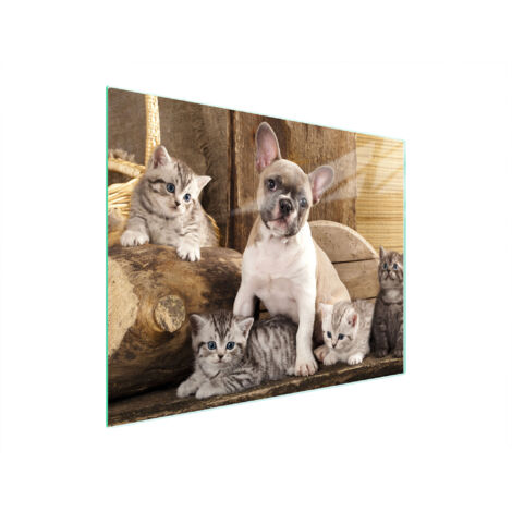 Glasschneidebrett 52x40 Hund