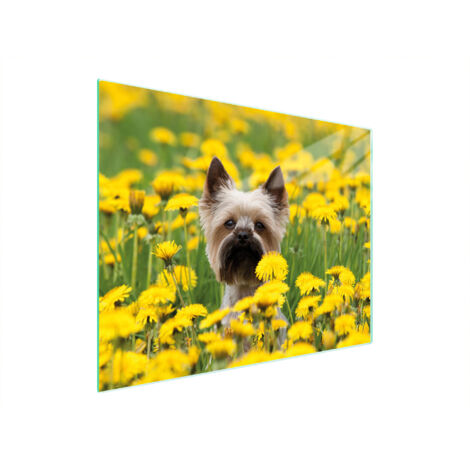 Glasschneidebrett 52x40 Hund