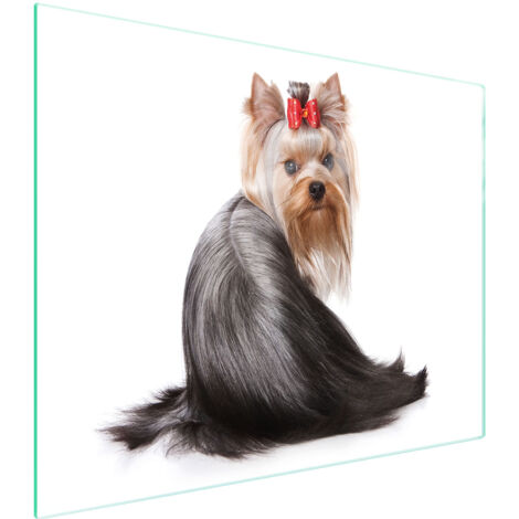 Glasschneidebrett 52x40 Hund