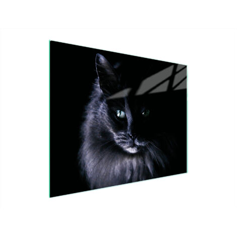 Glasschneidebrett 52x40 Katze
