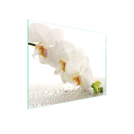 Glasschneidebrett 52x40 Orchidee