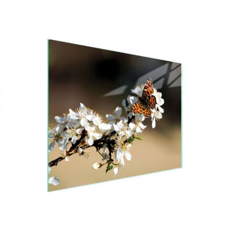 Glasschneidebrett 52x40 Pflaume