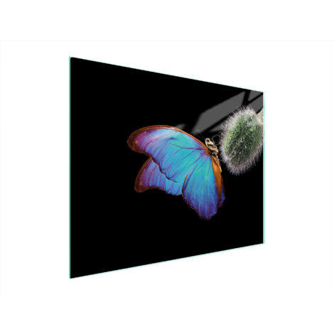 Glasschneidebrett 52x40 Schmetterling