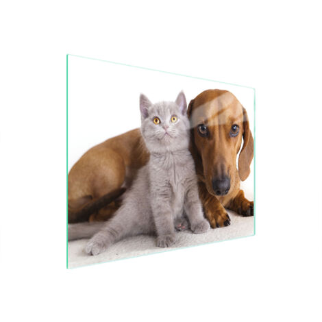 Glasschneidebrett 52x40 Tiere