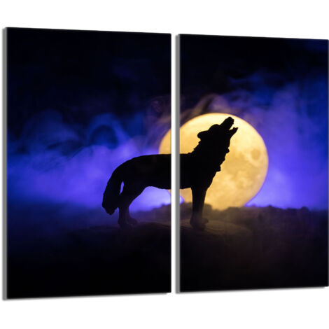 Glasschutzplatte für den Herd 2x30x52 Wilk