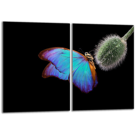 Glasschutzplatte für den Herd 2x40x52 Butterfly
