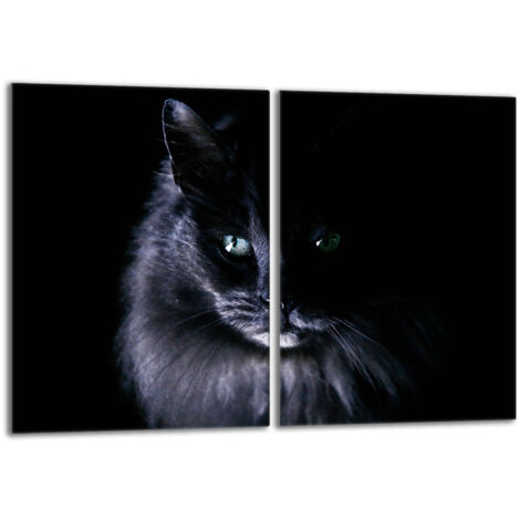 Glasschutzplatte für den Herd 2x40x52 Cat