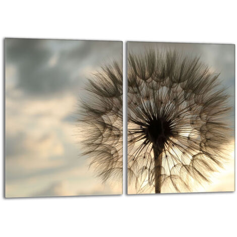 Glasschutzplatte für den Herd 2x40x52 Flower