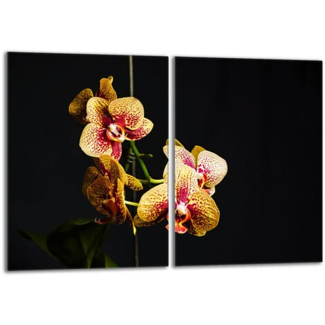 Glasschutzplatte für den Herd 2x40x52 Orchidea