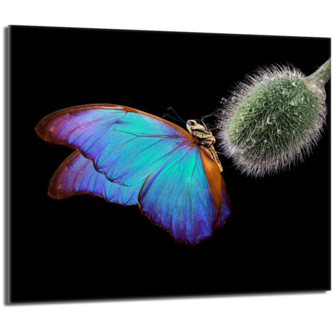 Glasschutzplatte für den Herd 60x52 Butterfly