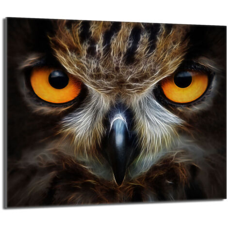 Glasschutzplatte für den Herd 60x52 Eule
