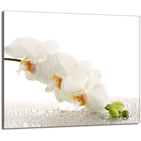 Glasschutzplatte für den Herd 60x52 Orchidea
