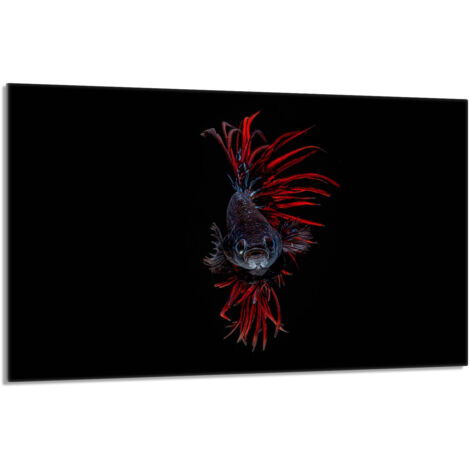Glasschutzplatte für den Herd 80x52 Fisch