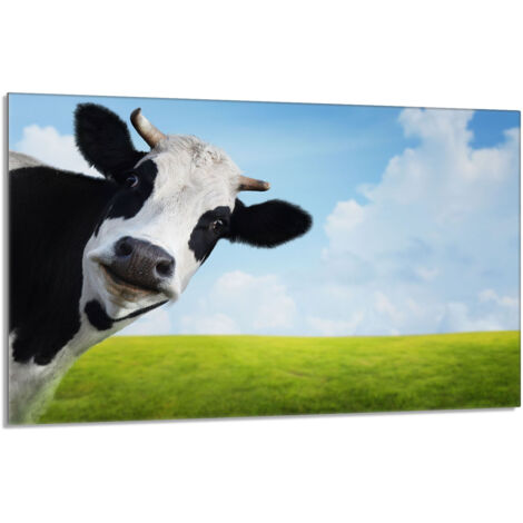 Glasschutzplatte für den Herd 80x52 Kuh