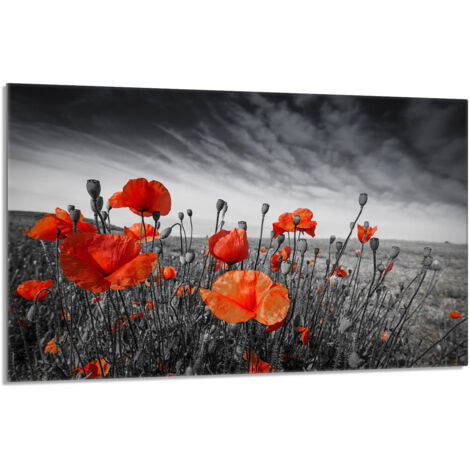 Glasschutzplatte für den Herd 80x52 Maki