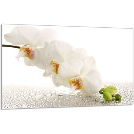 Glasschutzplatte für den Herd 80x52 Orchidea
