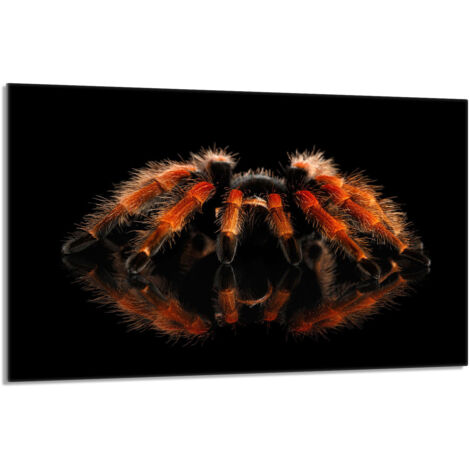 Glasschutzplatte für den Herd 80x52 Spider