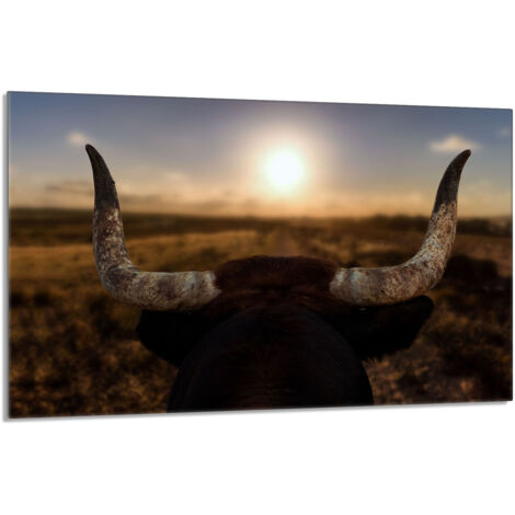 Glasschutzplatte für den Herd 80x52 Sun