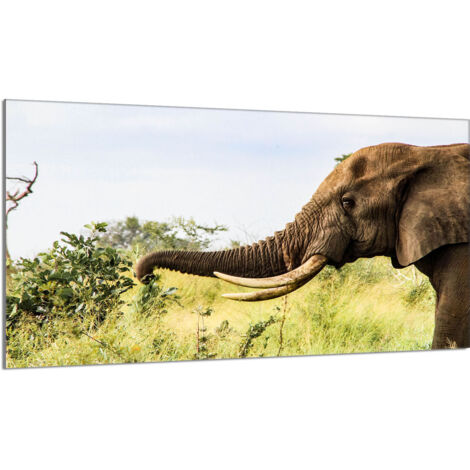 Glasschutzplatte für den Herd 90x52 Elefant