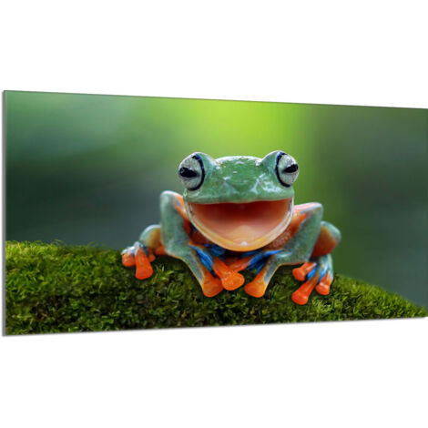 Glasschutzplatte für den Herd 90x52 Frosch