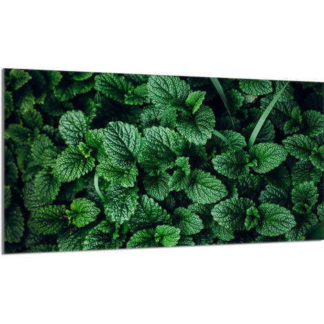 Glasschutzplatte für den Herd 90x52 Melisa