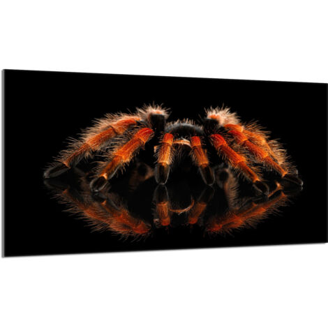 Glasschutzplatte für den Herd 90x52 Spider