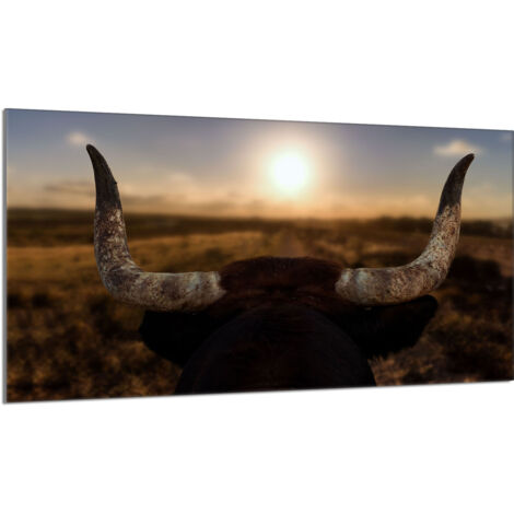 Glasschutzplatte für den Herd 90x52 Sun