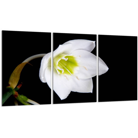 Glasschutzplatte für Herd 3x30x52