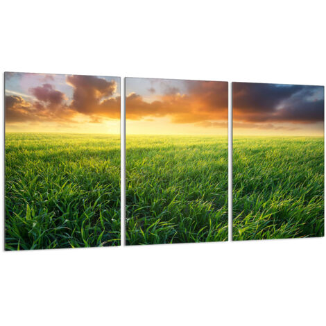 Glasschutzplatte für Herd 3x30x52