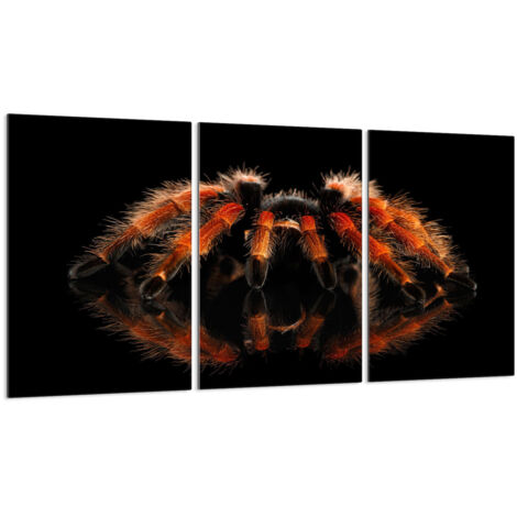 Glasschutzplatte für Herd 3x30x52