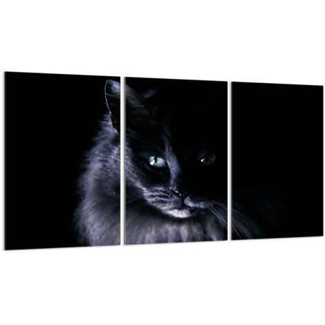 Glasschutzplatte für Herd 3x30x52