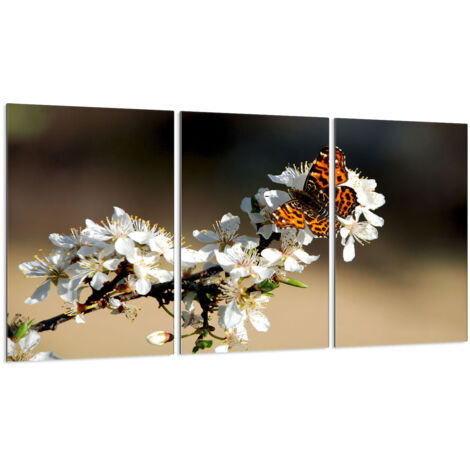 Glasschutzplatte für Herd 3x30x52