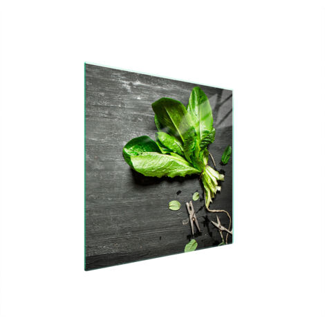 GLASSCHUTZPLATTE FÜR HERD 50x52 BASIL