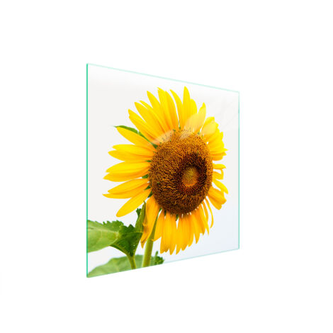 GLASSCHUTZPLATTE FÜR HERD 50x52 BLUME