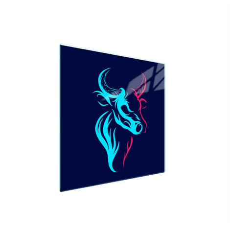 GLASSCHUTZPLATTE FÜR HERD 50x52 BYK