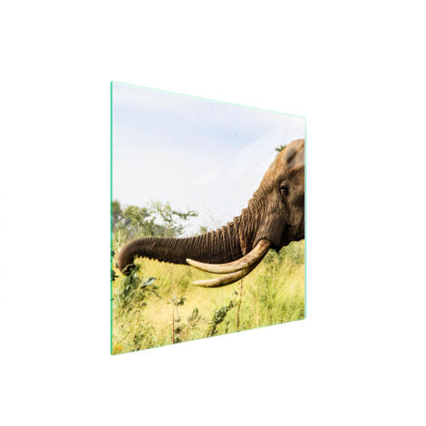 GLASSCHUTZPLATTE FÜR HERD 50x52 ELEPHANT