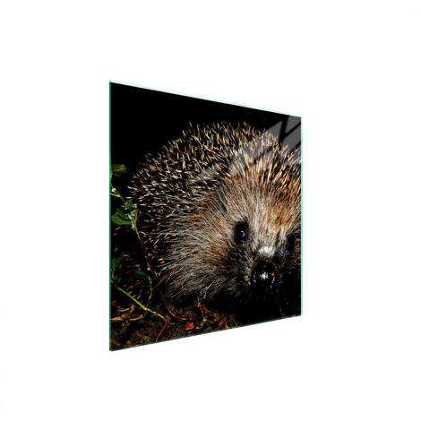 GLASSCHUTZPLATTE FÜR HERD 50x52 IGEL