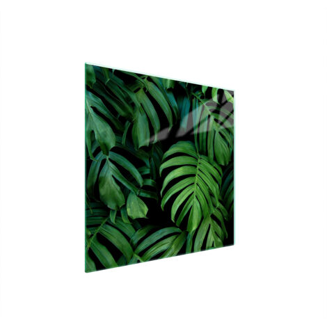 GLASSCHUTZPLATTE FÜR HERD 50x52 MONSTERA