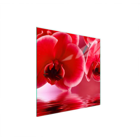 GLASSCHUTZPLATTE FÜR HERD 50x52 ORCHIDEE