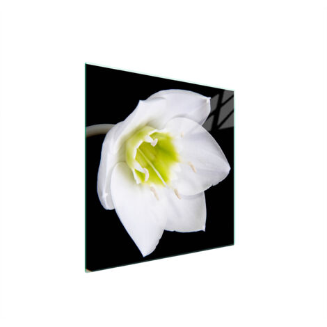 GLASSCHUTZPLATTE FÜR HERD 50x52 ORCHIDEE